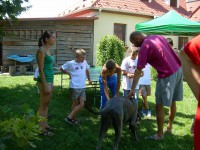 /album/fenykepgaleria/a1176410-701610856520403-1163562174-n-jpg/
