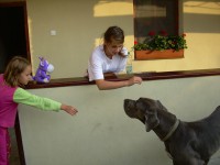 /album/fenykepgaleria/a1236967-701614646520024-1411157506-n-jpg/